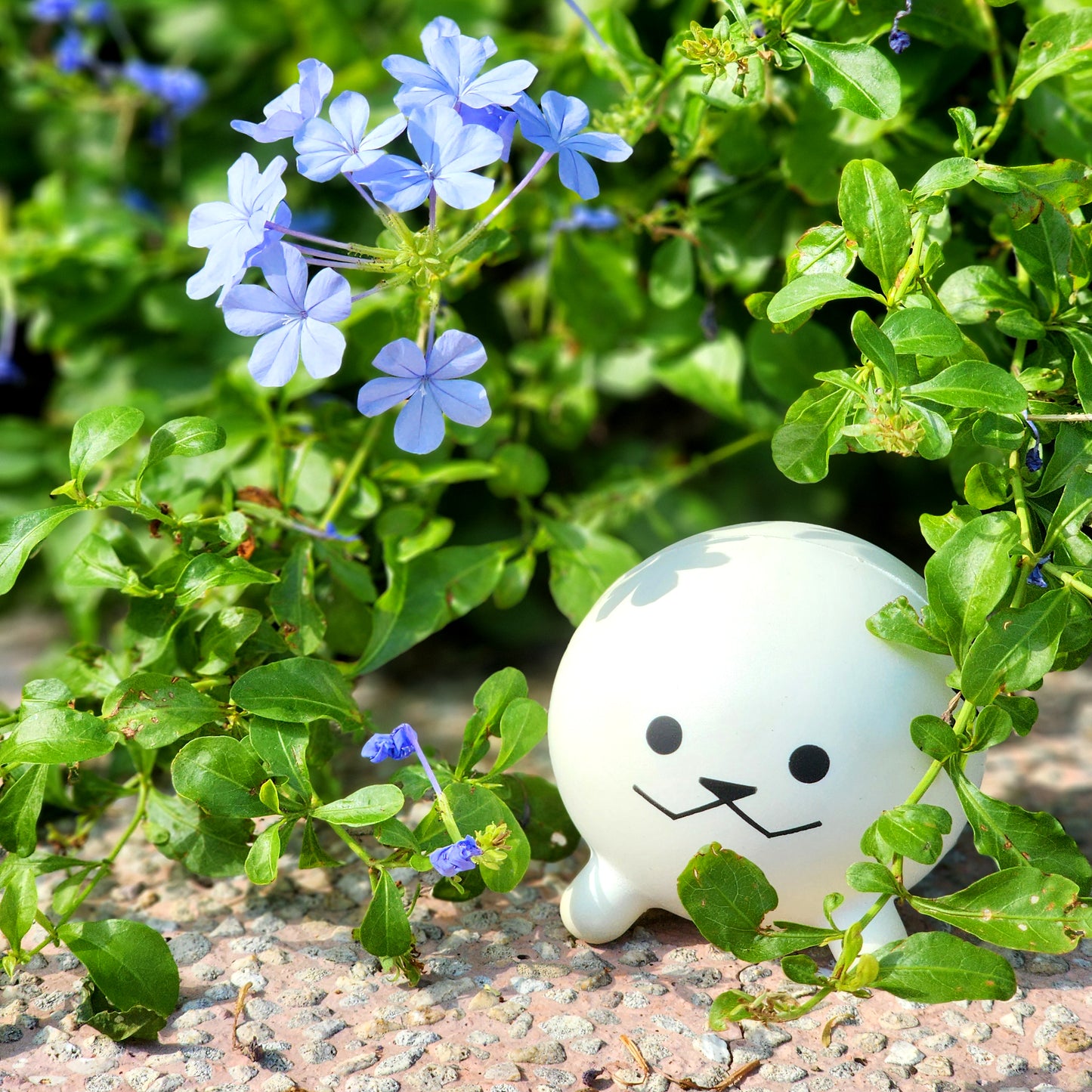 Pipapeep Official Squishy/Stress Ball Toy!