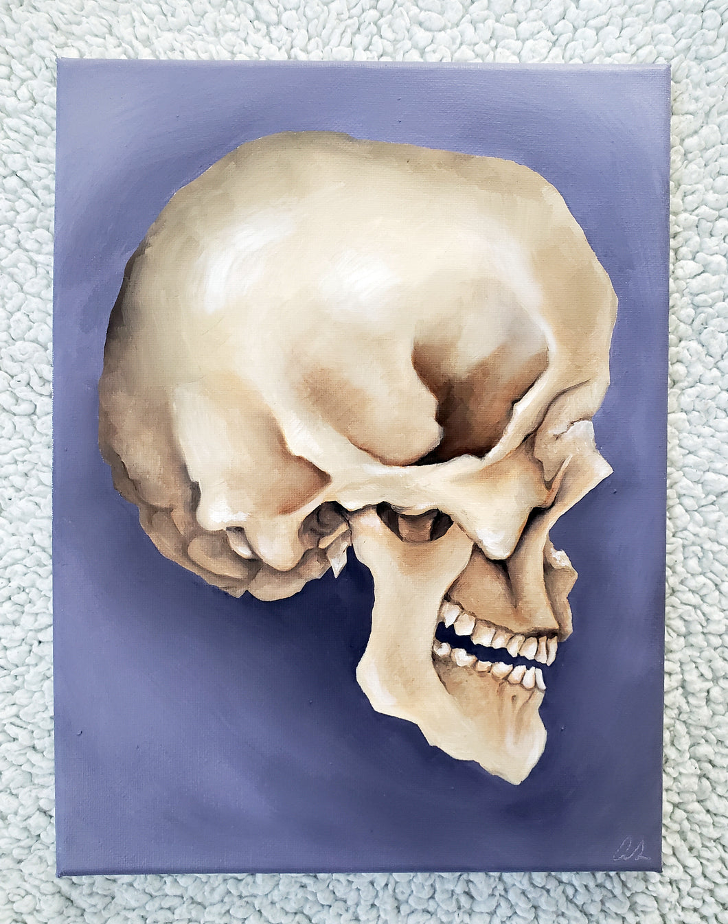 Profile Skull Study East