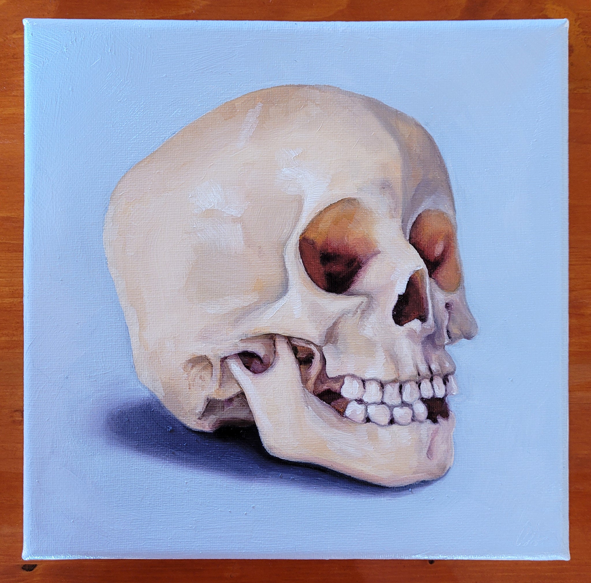 Some (mostly) recent paintings, including a skull study, a still