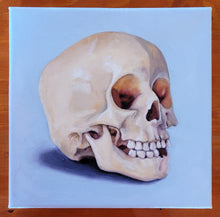 Load image into Gallery viewer, Skull Study
