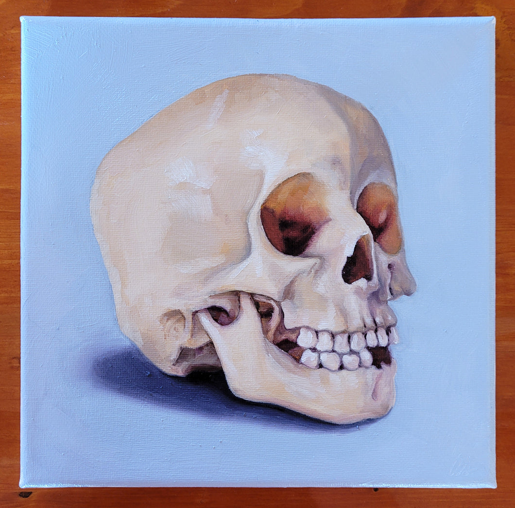 Skull Study