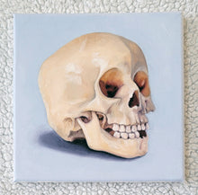 Load image into Gallery viewer, Skull Study
